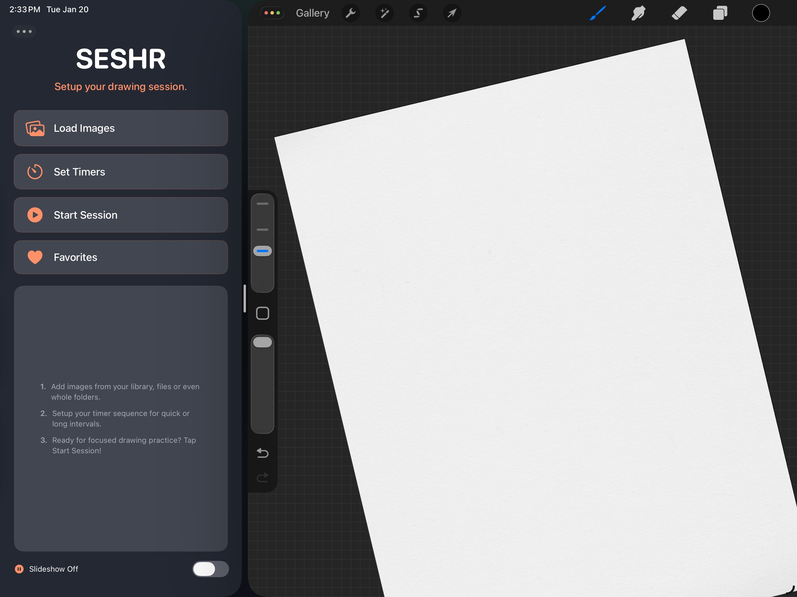 Another view of Seshr and Procreate in Split View